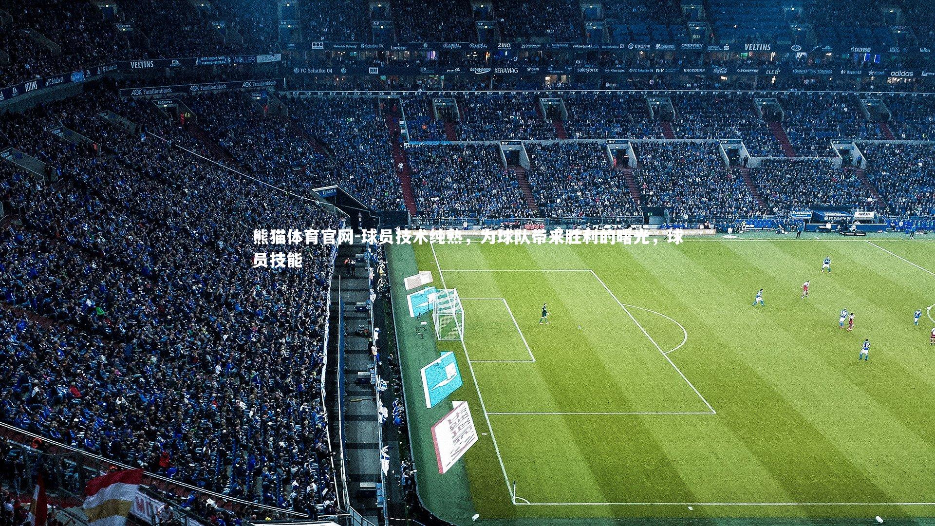 球员技术纯熟，为球队带来胜利的曙光，球员技能