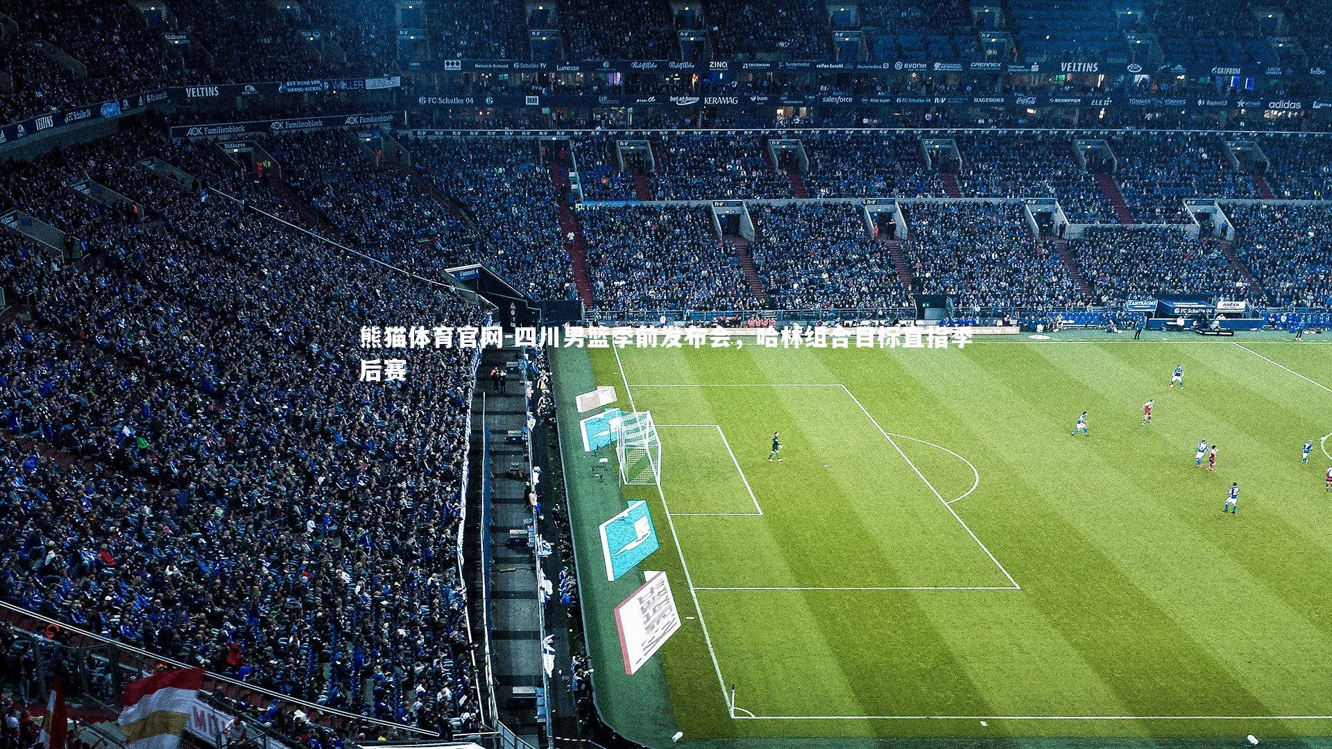 四川男篮季前发布会,哈林组合目标直指季后赛